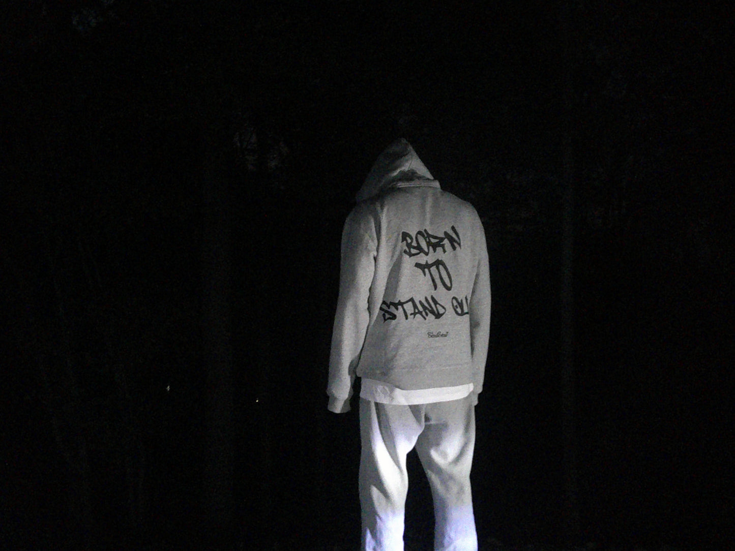 Born To Stand Out ScalStar Hoodie